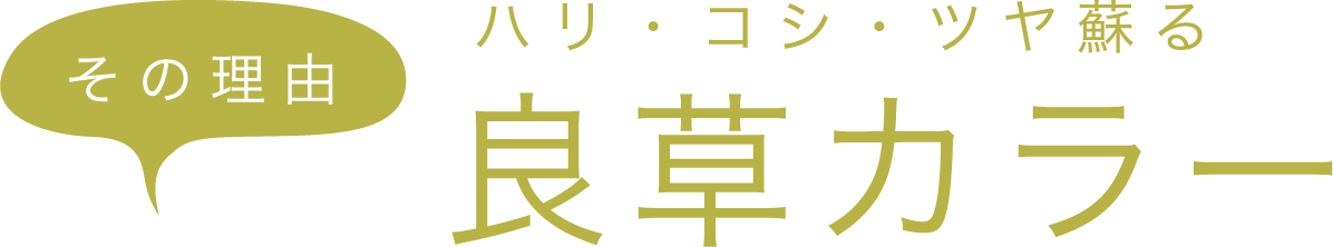 その理由